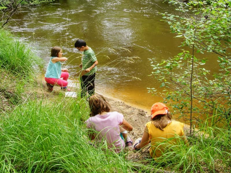 Illustration de l'événement : Atelier du petit naturaliste