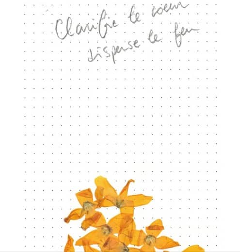 Illustration de l'événement : Exposition Clarifie le Coeur, Disperse le Feu, de Socheata Canto-Aing