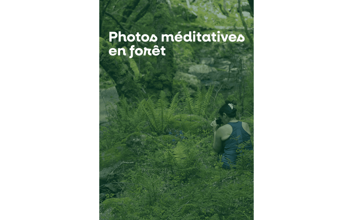 Illustration de l'événement : Photos méditatives en forêt