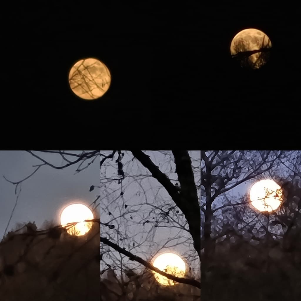 Illustration de l'événement : Soirée entre soleil et pleine lune - Août