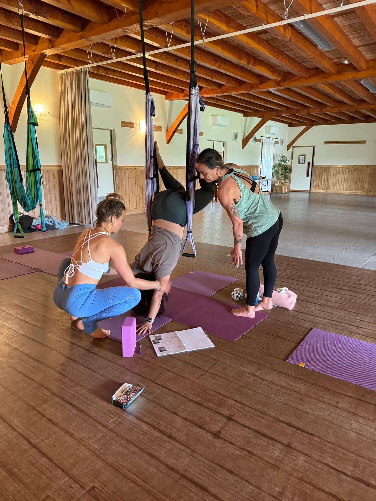 Illustration de l'événement : Formation en Yoga aérien