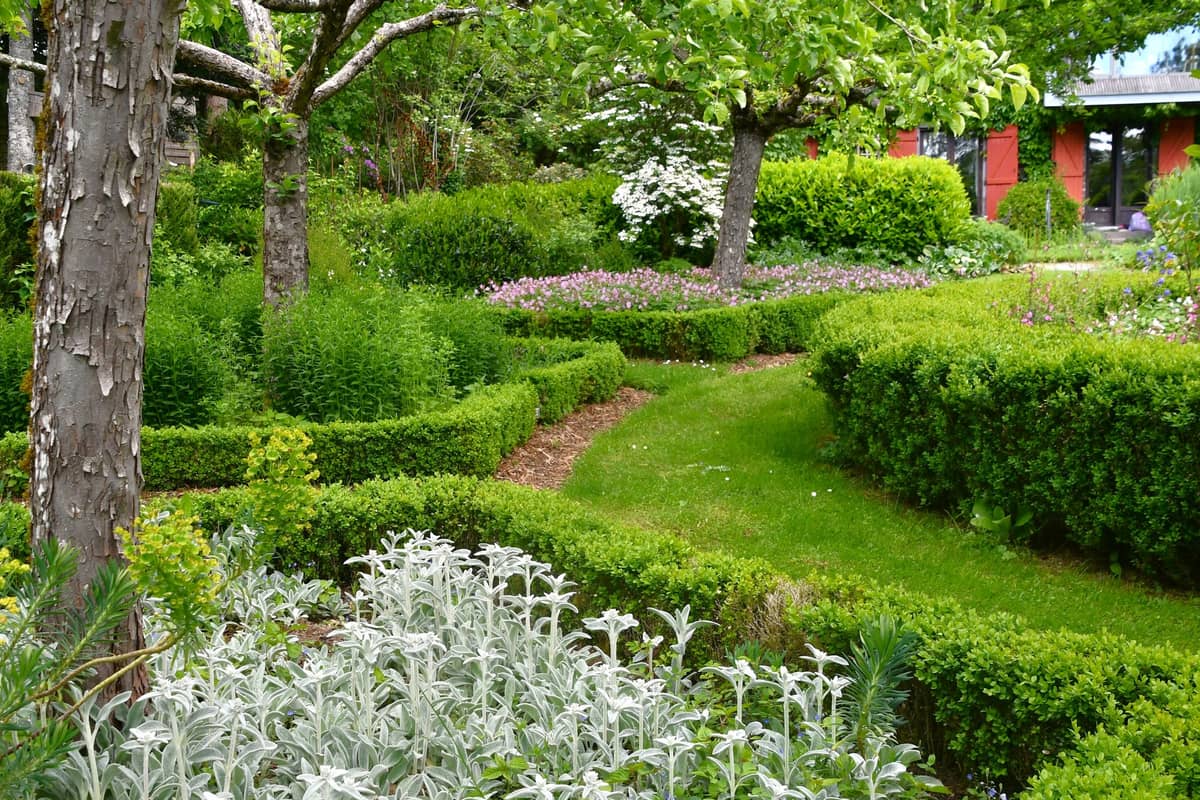 Illustration de l'événement : Journées Européennes du Patrimoine Jardin d'Arsac