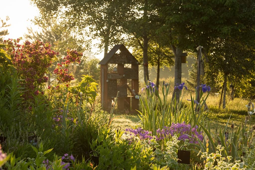 Illustration de l'événement : Les journées du patrimoine aux Jardins de Colette