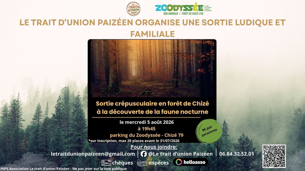 Illustration de l'événement : Sortie crépusculaire en forêt de Chizé