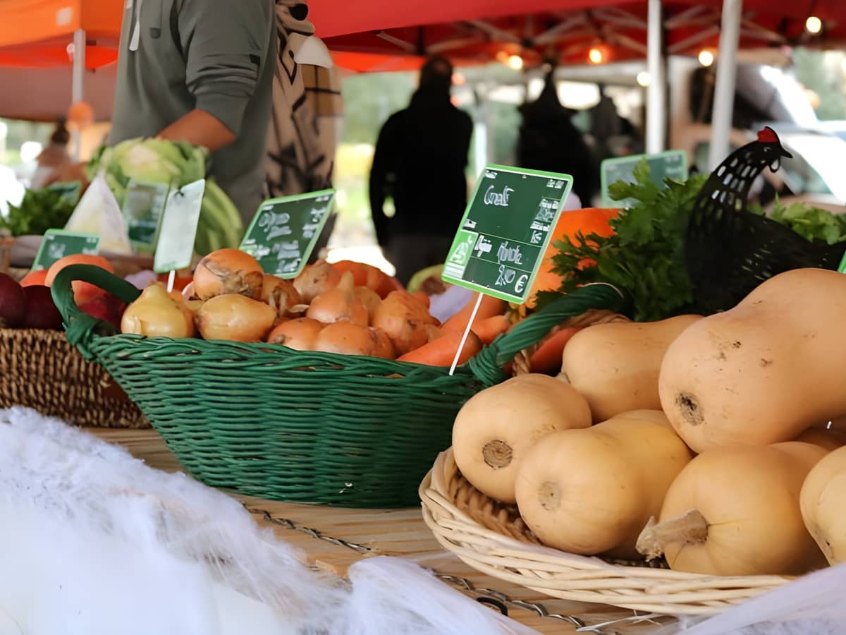 Illustration de l'événement : La Halle Gourmande : Marché hebdomadaire du vendredi après-midi de Sadirac