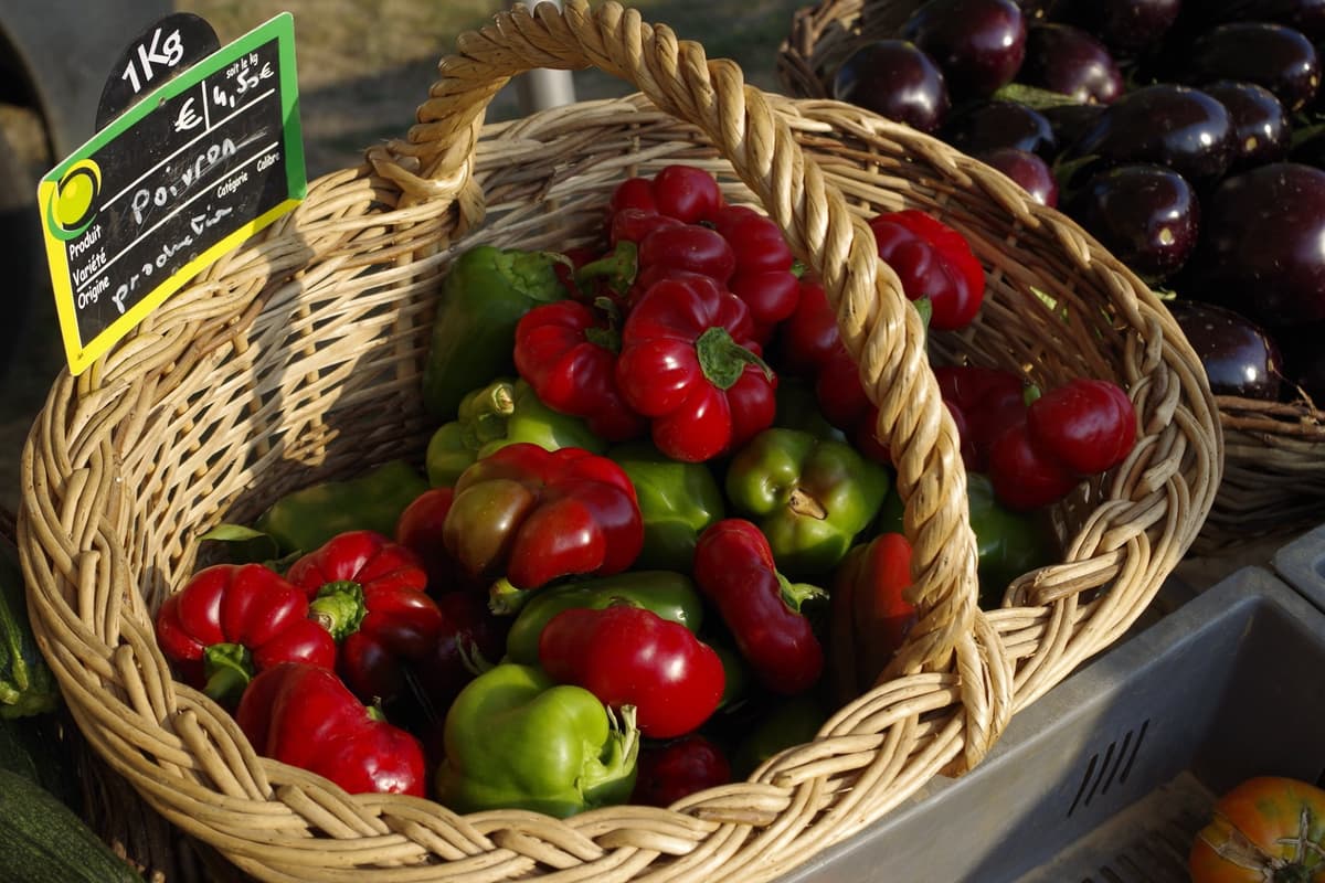 Illustration de l'événement : Marché de Producteurs - Montamisé