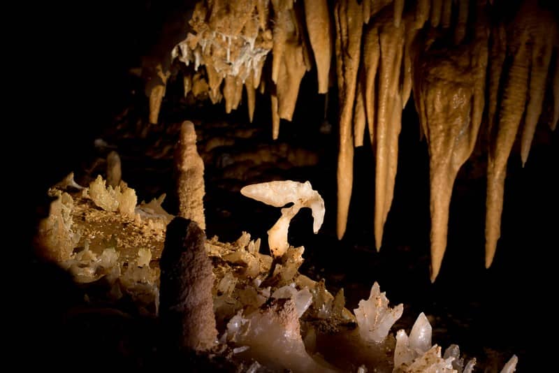 Illustration de l'événement : Journées européennes du patrimoine à la Grotte du Grand Roc