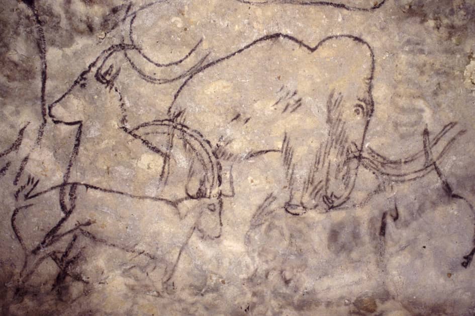 Illustration de l'événement : Journées européennes du patrimoine à la Grotte de Rouffignac