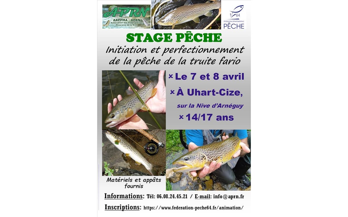Illustration de l'événement : Stage de pêche : tout mode de pêche de la truite fario