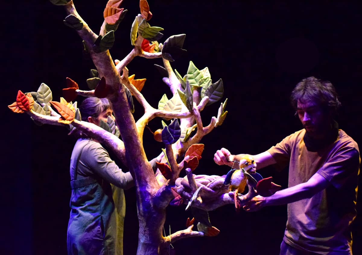Illustration de l'événement : Spectacle "Le Premier Envol"