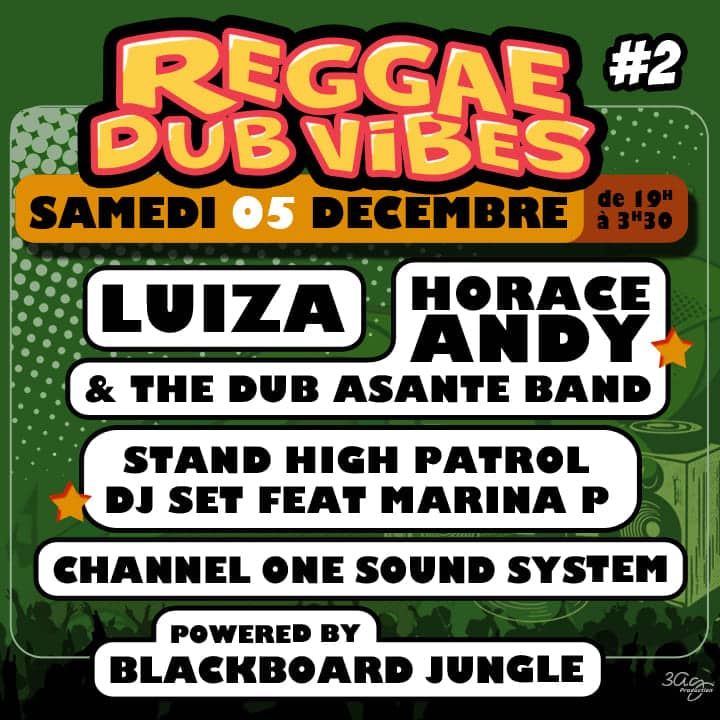 Illustration de l'événement : Concert - Reggae Dub Vibes