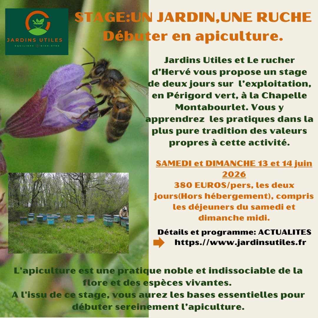 Illustration de l'événement : Stage Apiculture en Périgord
