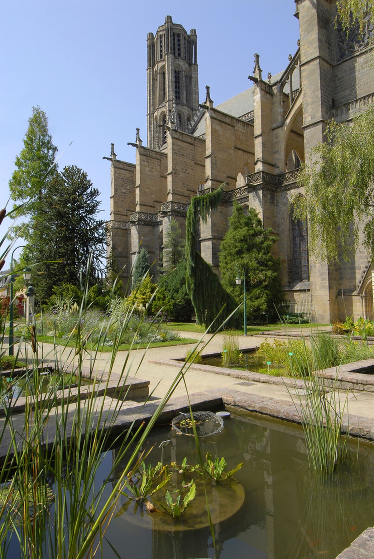 Illustration de l'événement : Balade dans les jardins de l'Evéché - Limoges