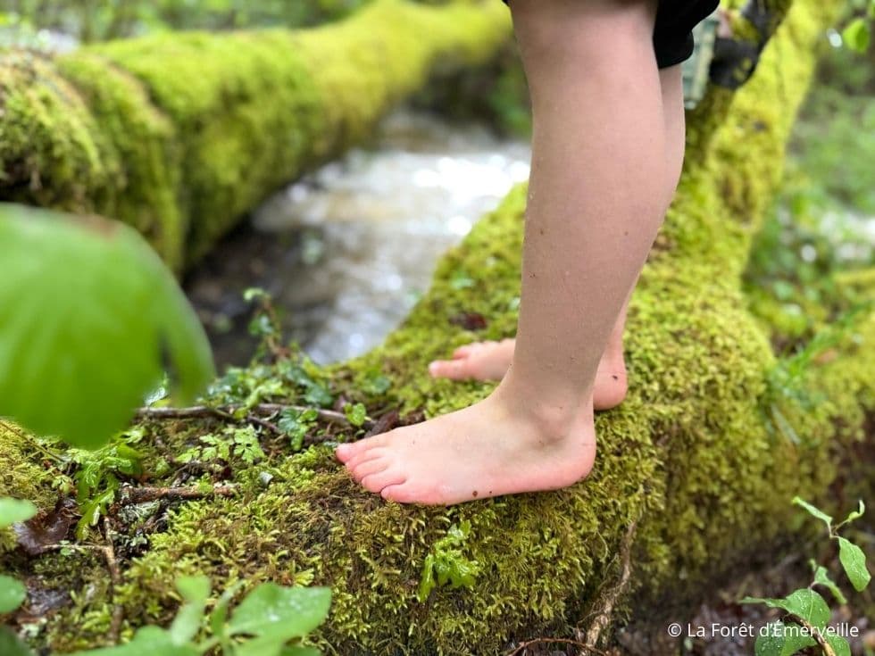 Illustration de l'événement : Sentier pieds nus en forêt