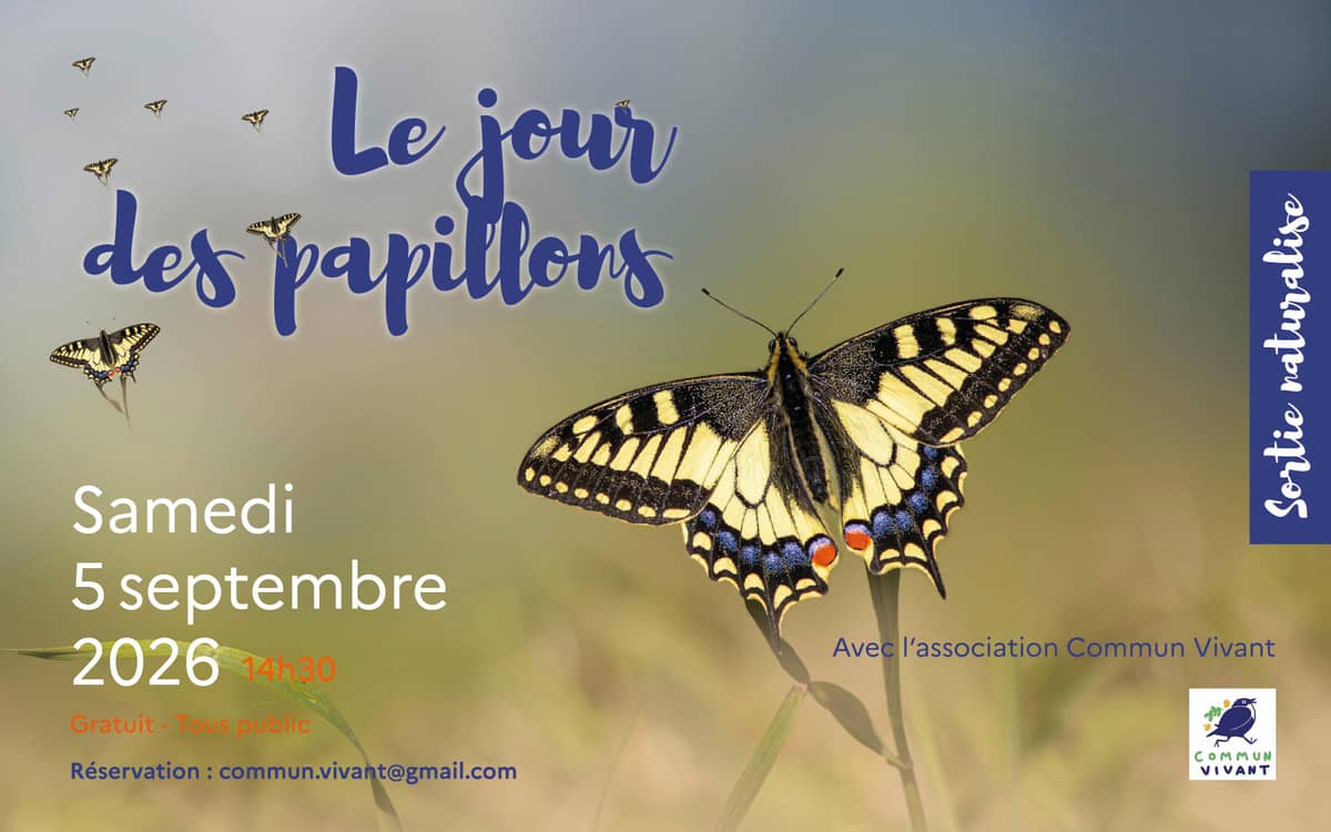 Illustration de l'événement : Le jour des papillons