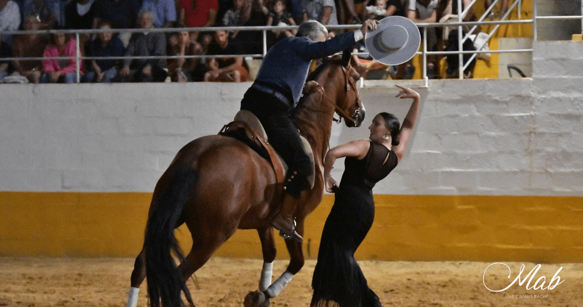 Illustration de l'événement : Spectacle hispano-landais