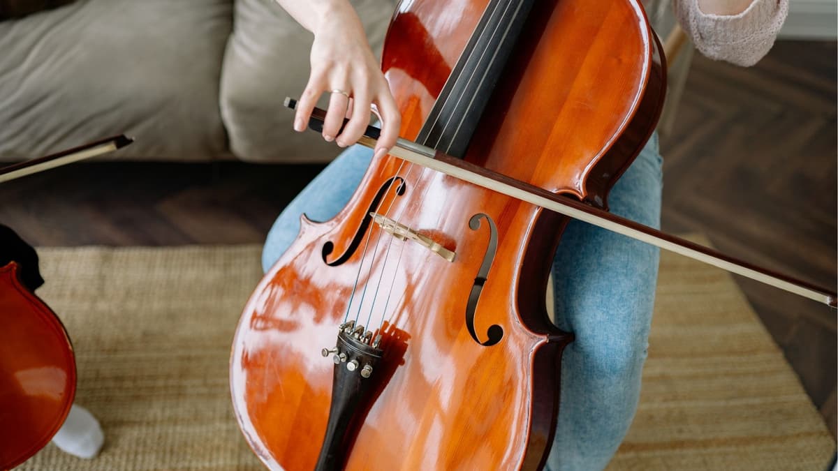 Illustration de l'événement : Festival Classique en Béarn : Concerts cordes en ballades