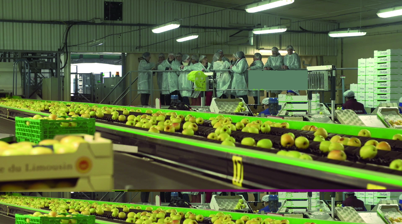 Illustration de l'événement : Route de la Pomme du Limousin : Visite coopérative 2026