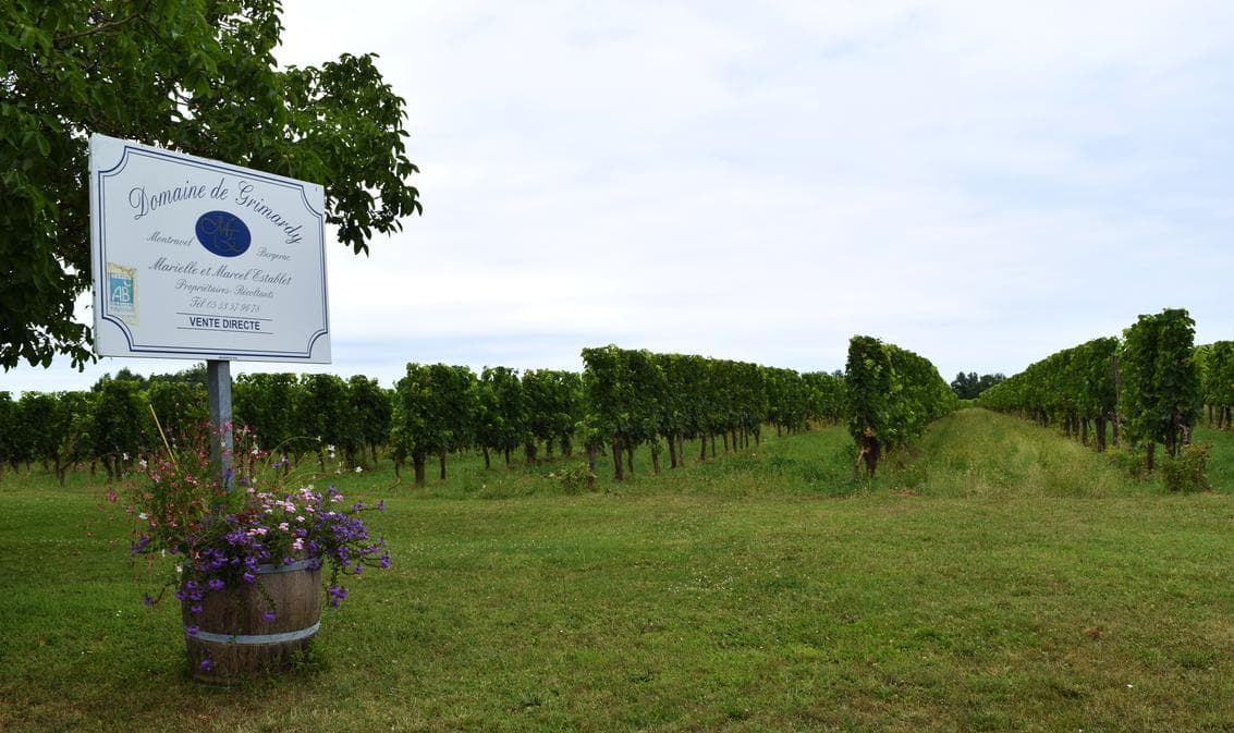 Illustration de l'événement : Marche nordique et dégustation | Domaine de Grimardy
