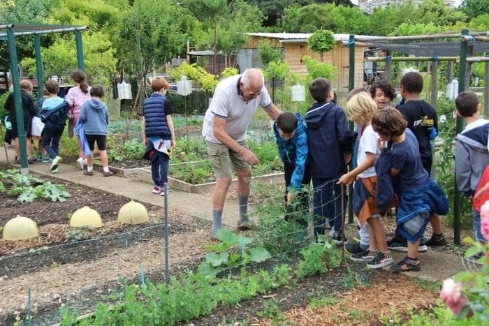 Illustration de l'événement : Jardins familiaux de la Société d'Horticulture - Rendez-vous aux jardins