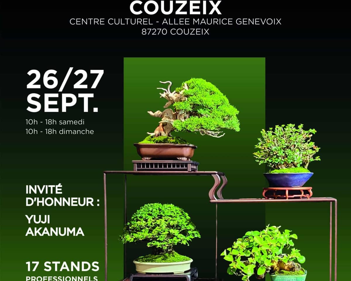 Illustration de l'événement : Exposition nationale de bonsaï : Couzeix accueille un rendez-vous d’exception