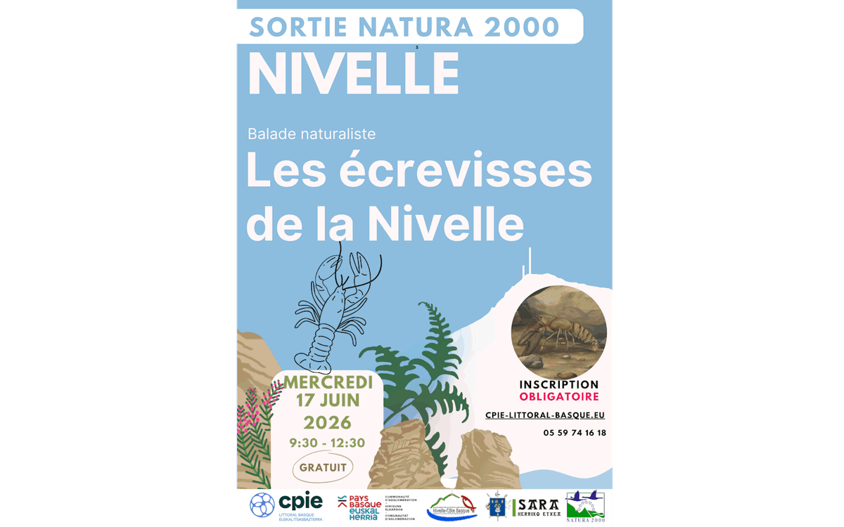 Illustration de l'événement : Sortie Natura 2000 CPIE : Les écrevisses de la Nivelle