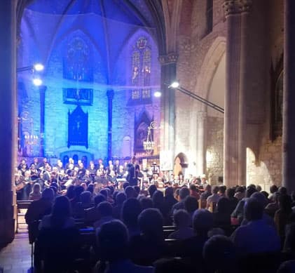 Illustration de l'événement : 25ème Festival Les Soirées Baroques : Splendeurs baroque, concert sons et lumières Choeur du festival et Orchestre Les Passions