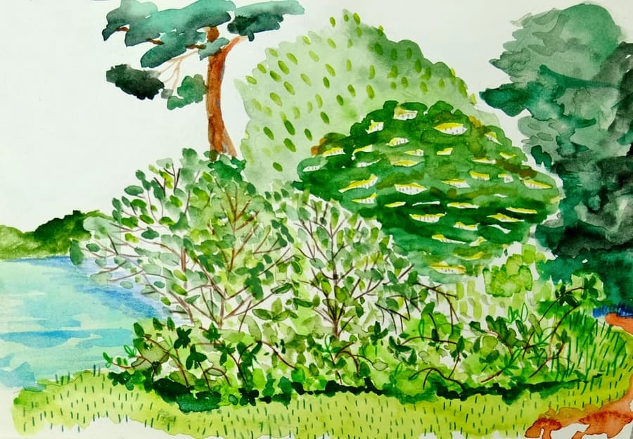 Illustration de l'événement : Simples jardinages - chantier participatif