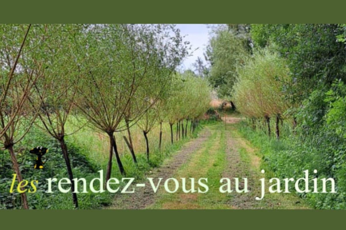 Illustration de l'événement : Les rendez-vous au jardin