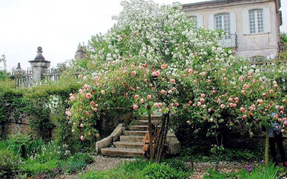 Illustration de l'événement : Mongenan fête les Rendez-vous aux jardins