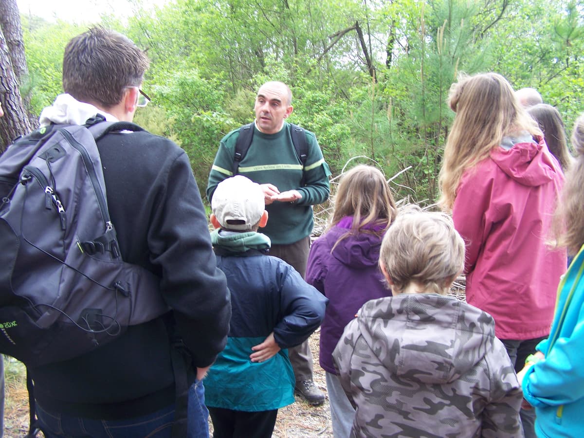 Illustration de l'événement : Visite guidée O.N.F Dune, Forêt littorale, Réserve biologique de la Maillouèyre