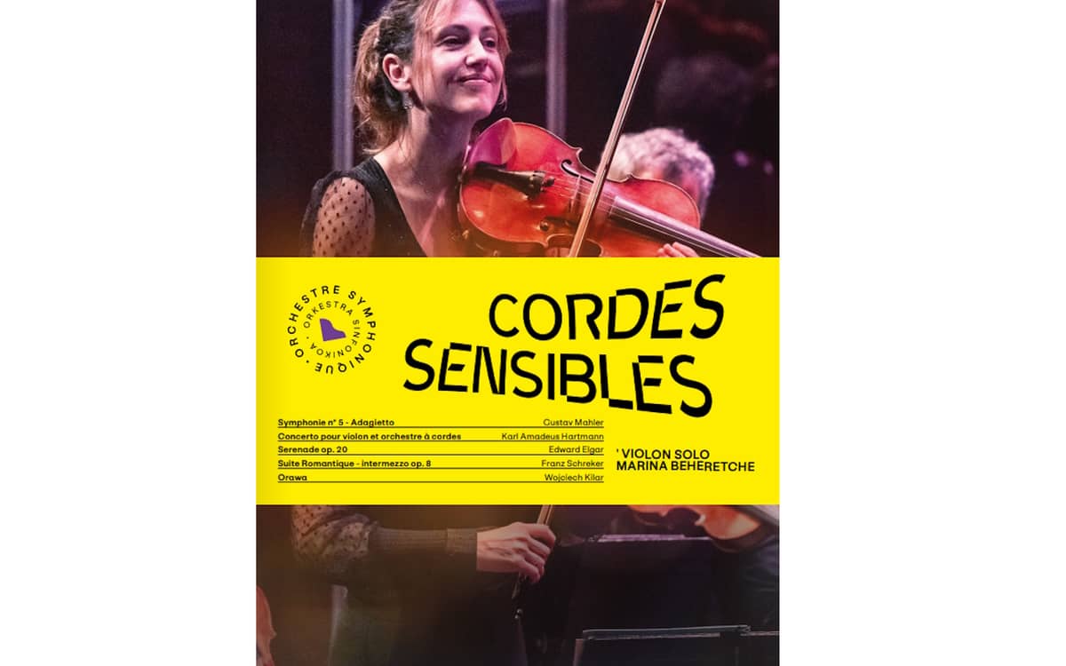 Illustration de l'événement : Orchestre Symphonique du Pays Basque : Cordes Sensibles