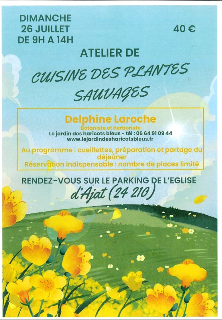 Illustration de l'événement : Atelier de cuisine des plantes sauvages