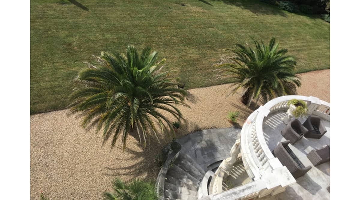 Illustration de l'événement : Story tea time dans un appartement privé du Palais Sorrento