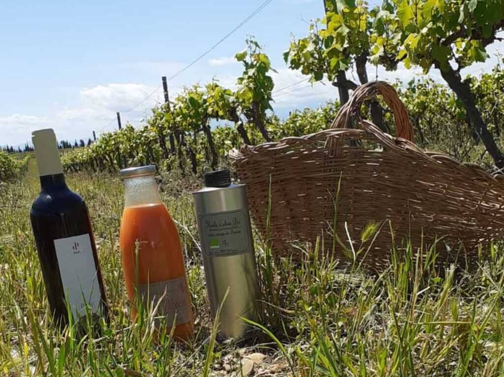 Illustration de l'événement : VISITE ET DÉGUSTATION AU DOMAINE PAGNON