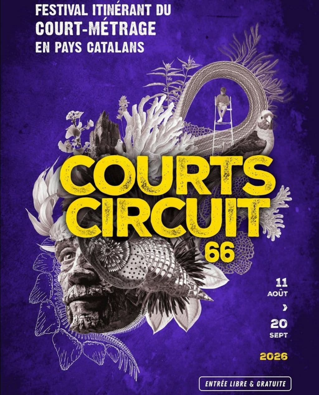 Illustration de l'événement : FESTIVAL COURTS-CIRCUIT 66 ET CONCERT DE SAN SEVERINO