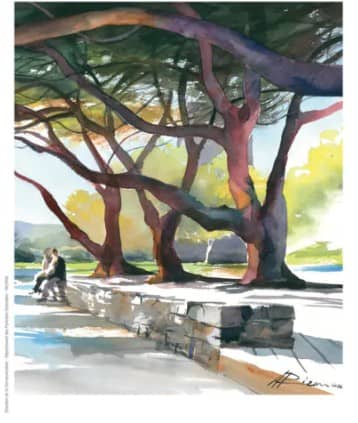 Illustration de l'événement : BALADE IMMERSIVE DANS LES JARDINS MÉDIÉVAUX DU PALAIS DES ROIS DE MAJORQUE