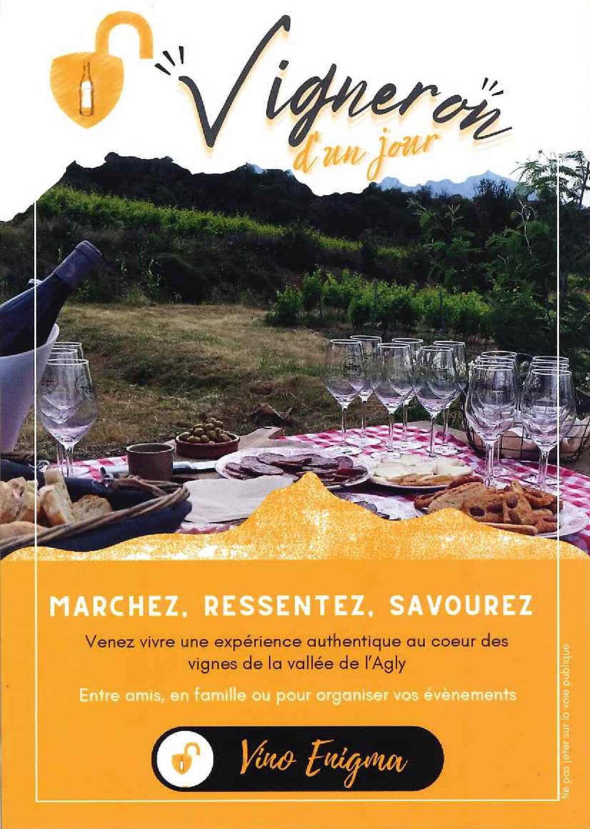 Illustration de l'événement : VIGNERON D'UN JOUR - VINO ENIGMA