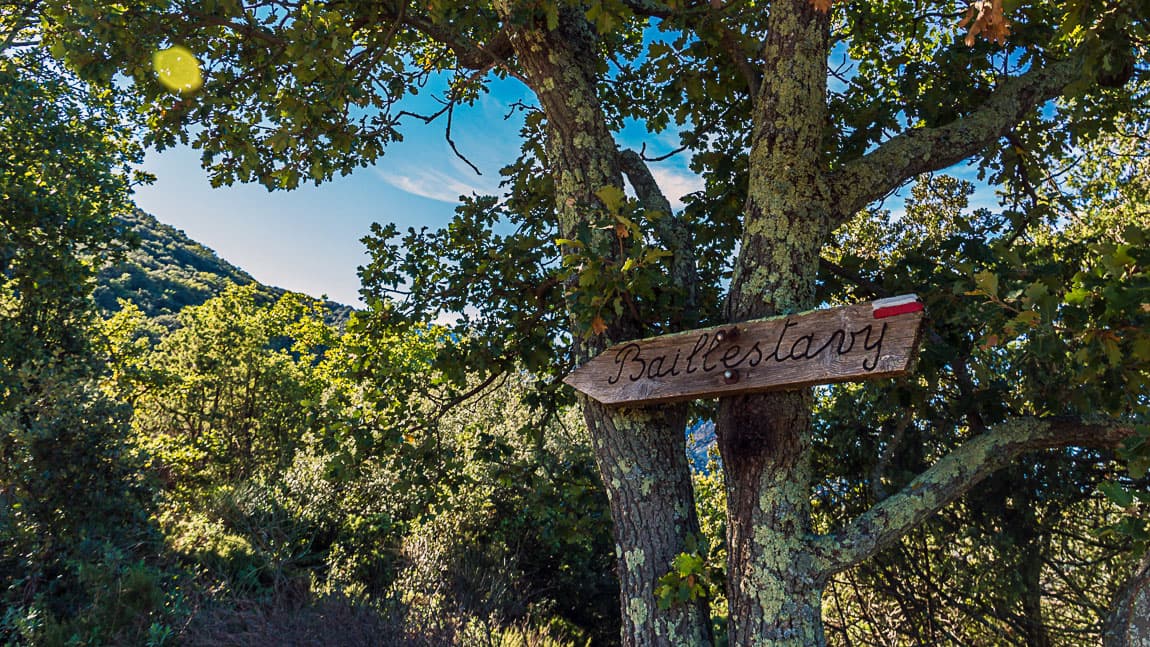 Illustration de l'événement : RANDO ACCOMPAGNEE : DE BAILLESTAVY A VALMANYA PAR DE BEAUX SENTIERS EN FORET