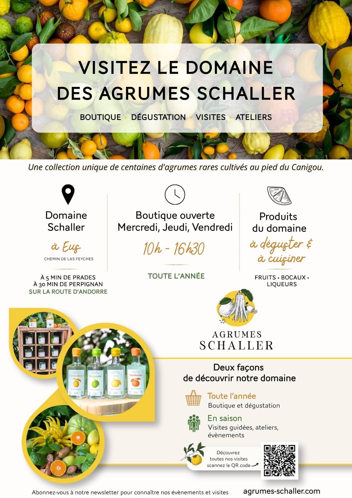 Illustration de l'événement : VISITE LES FRUITS D'AGRUMES RARES