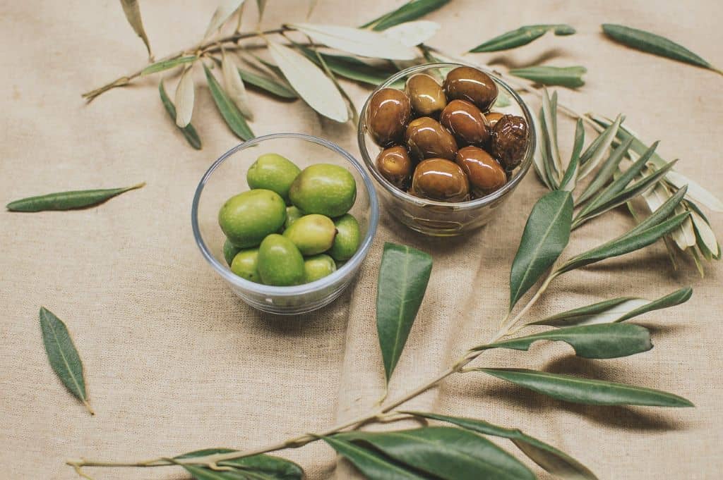 Illustration de l'événement : DE L'OLIVE À LHUILE : PARTONS À LA DÉCOUVERTE D'UNE PRODUCTION BIOLOGIQUE