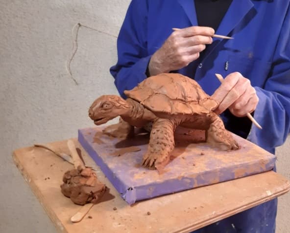 Illustration de l'événement : Atelier de modelage intergénérationnel / duo parents-enfants : La tortue et son bébé
