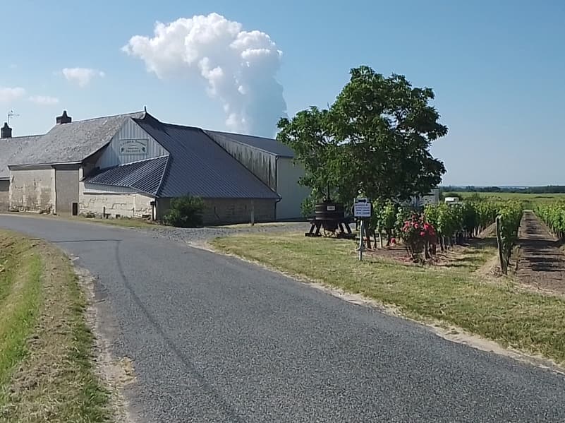 Illustration de l'événement : Portes Ouvertes au Vignoble Le Gros Caillou