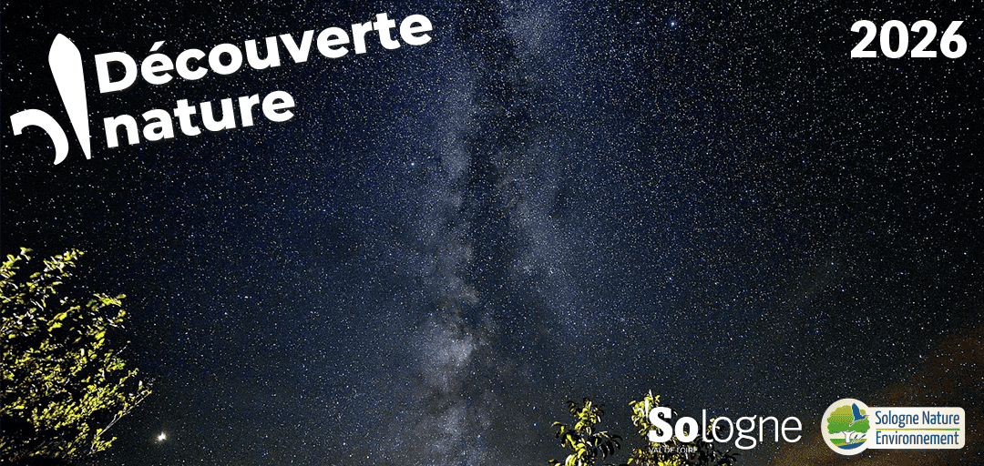 Illustration de l'événement : Découvertes Sologne Nature - Nuage d'étoiles