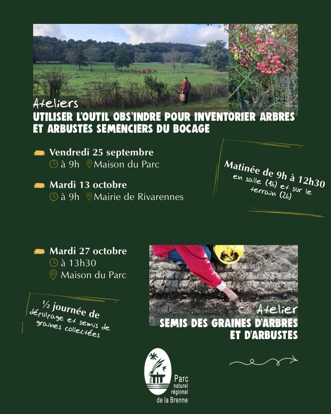 Illustration de l'événement : Atelier semis des graines d’arbres et arbustes collectés