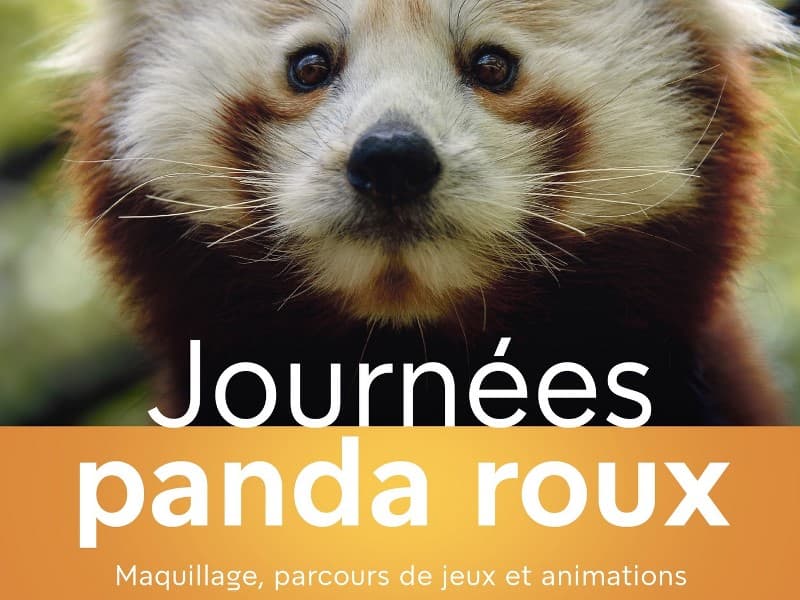 Illustration de l'événement : Journées Panda Roux