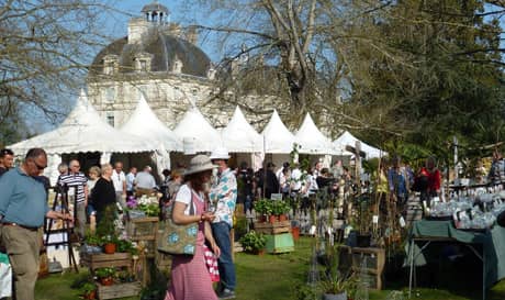 Illustration de l'événement : Fête des plantes au château de Cheverny