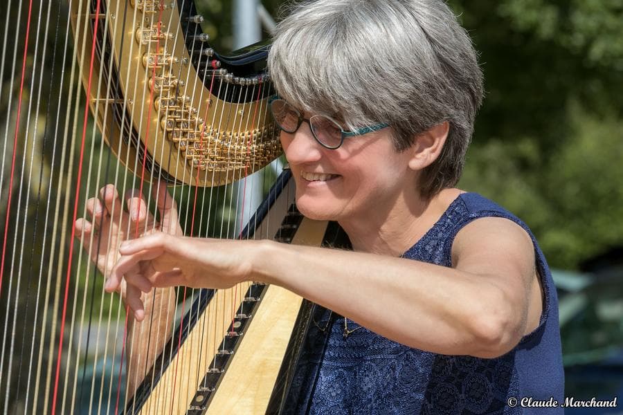 Illustration de l'événement : Harpe vagabonde