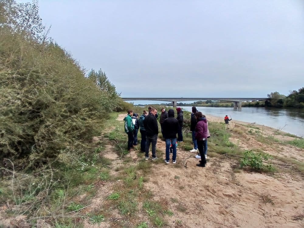 Illustration de l'événement : Rendez-vous avec l'Observatoire Loire - Inondations à Blois entre nature et prévention