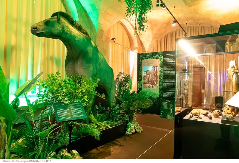 Illustration de l'événement : Visite guidée de l'exposition La Touraine Tropicale